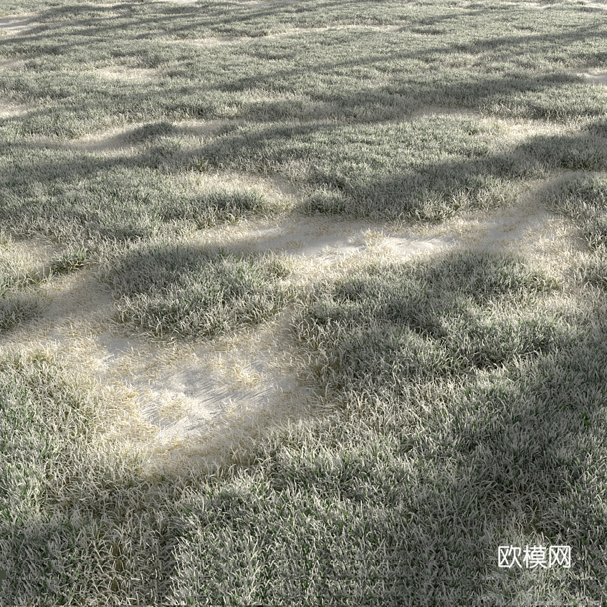 冬雪草3d模型