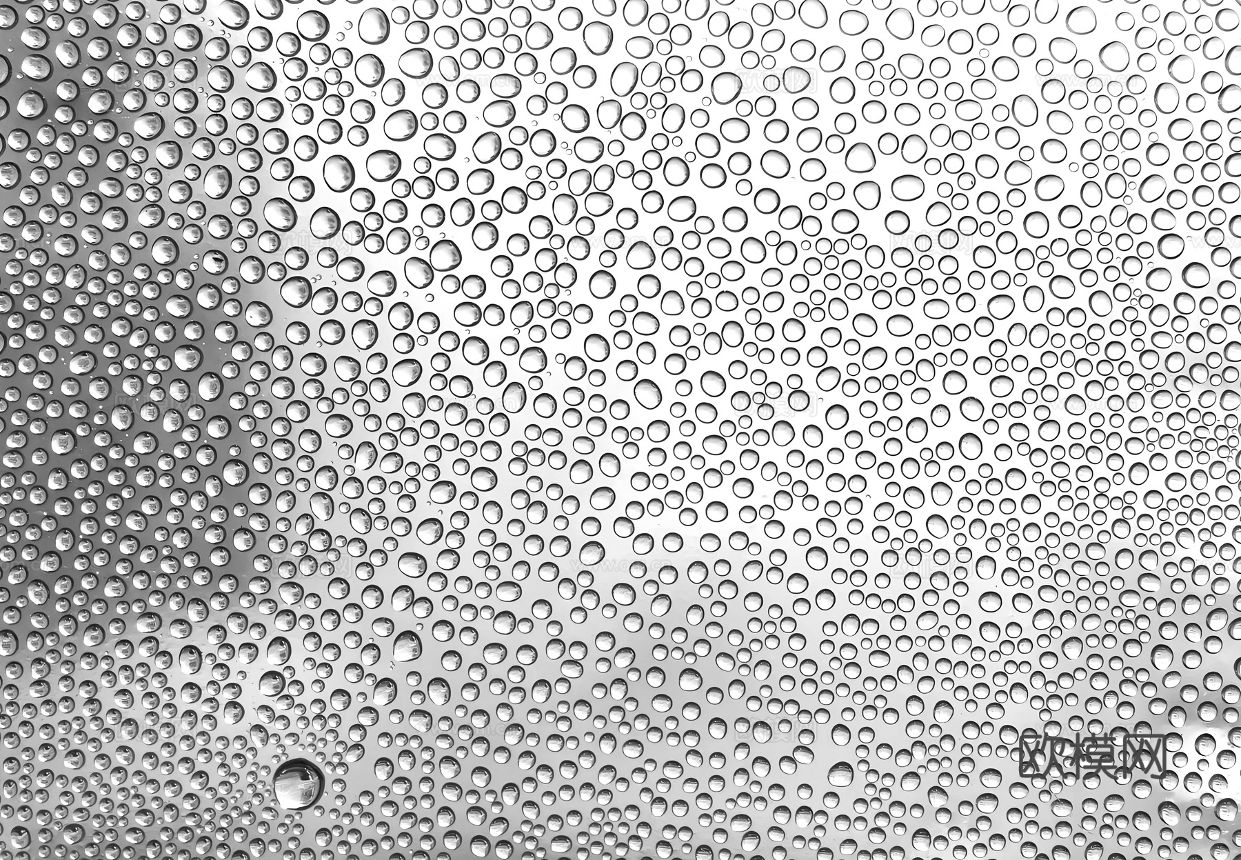 窗户露珠 雨滴在窗户  水滴 露珠凝结