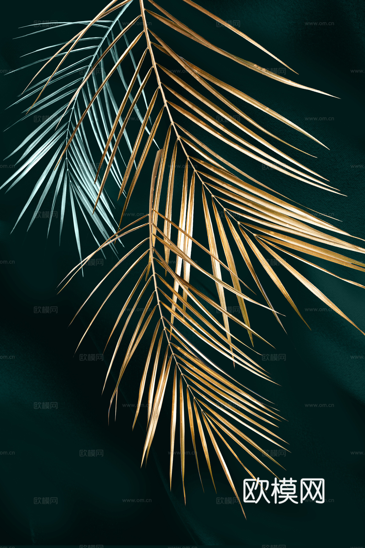 植物轻奢挂画