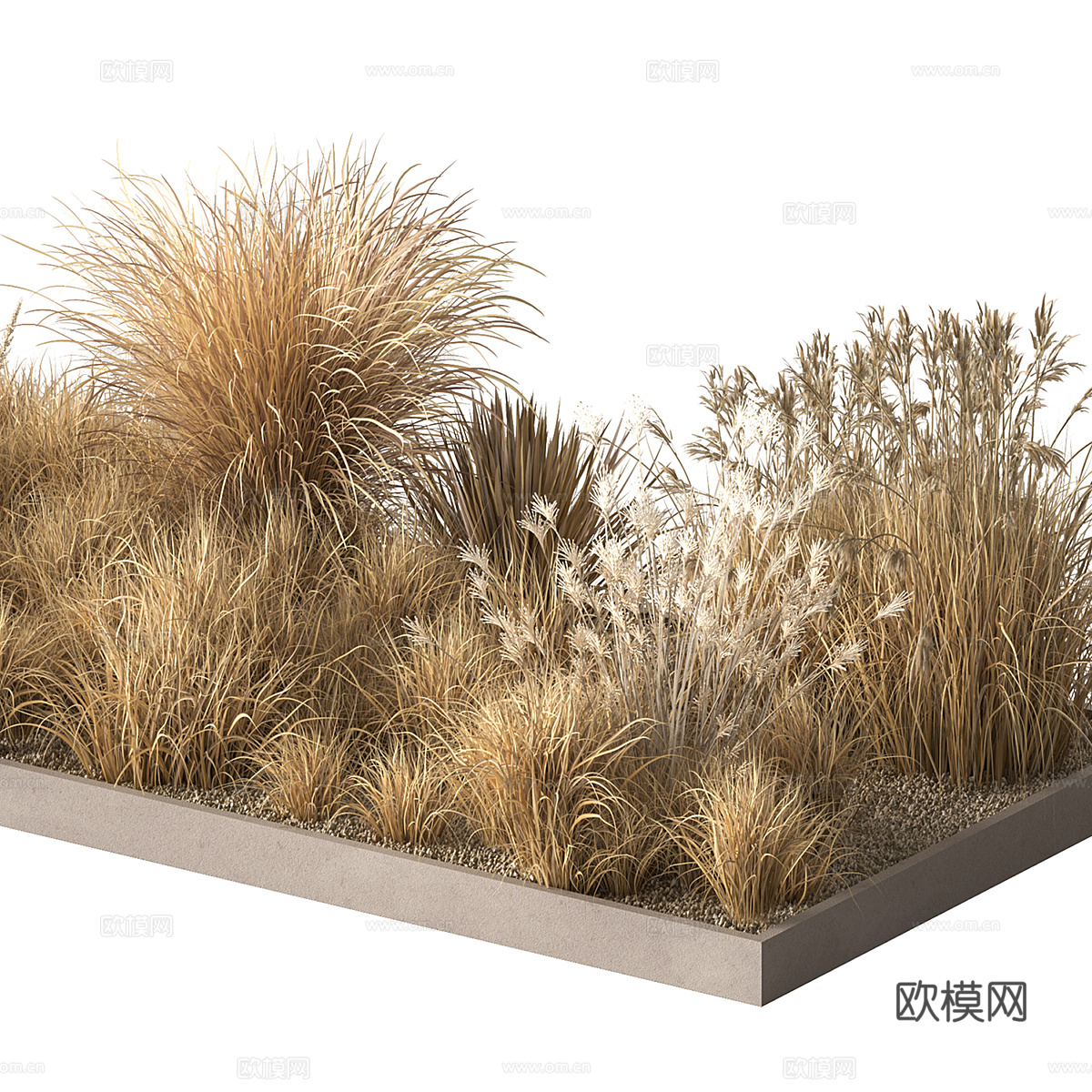 现代户外干式灌木草丛3d模型