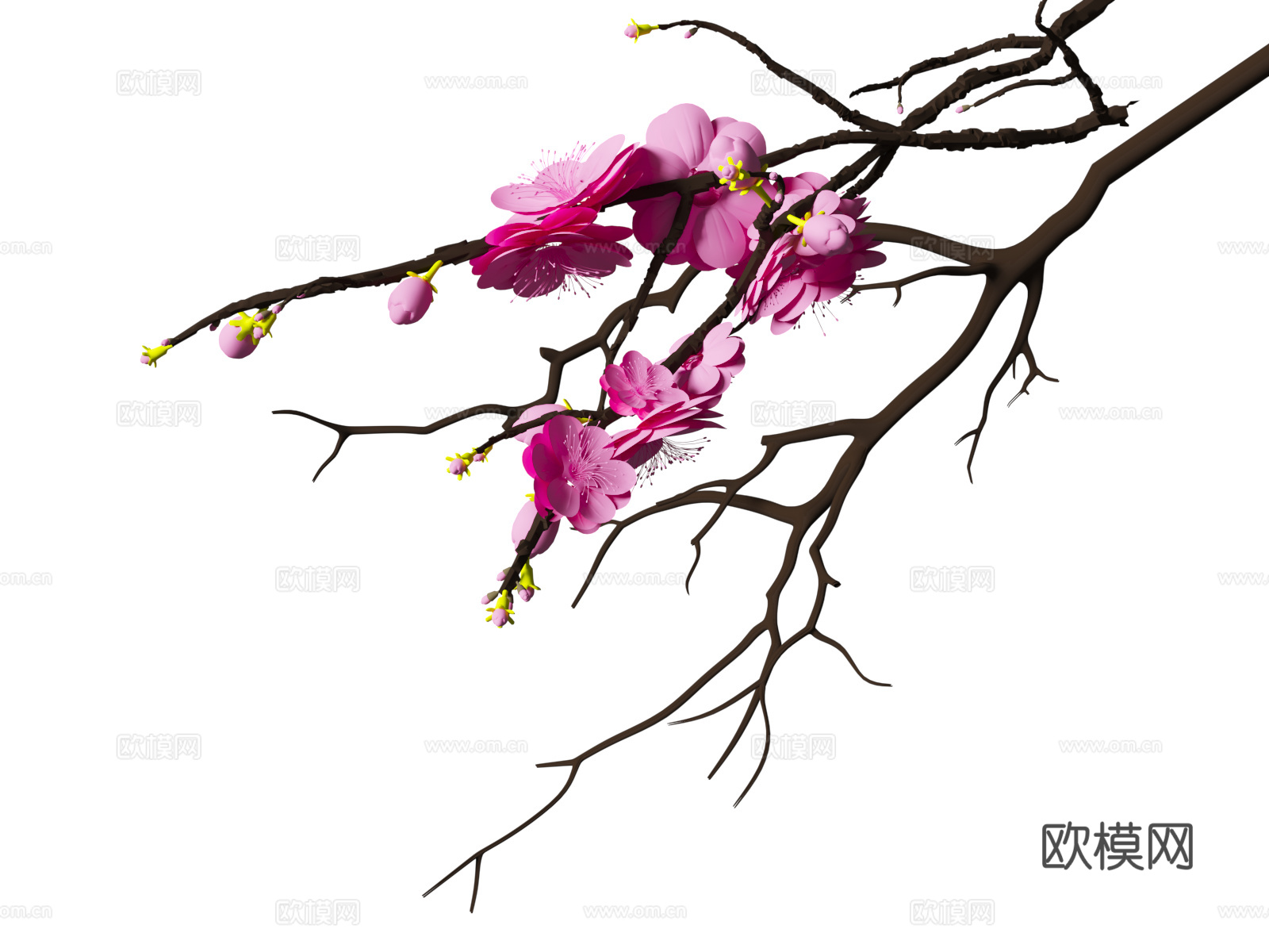 卡通梅花 樱花 卡通C4D花朵 植物 花卉花束 卡通花朵 盆3d模型