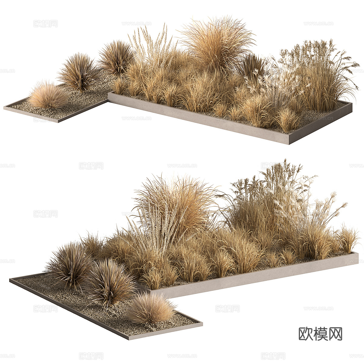 现代户外干式灌木草丛3d模型