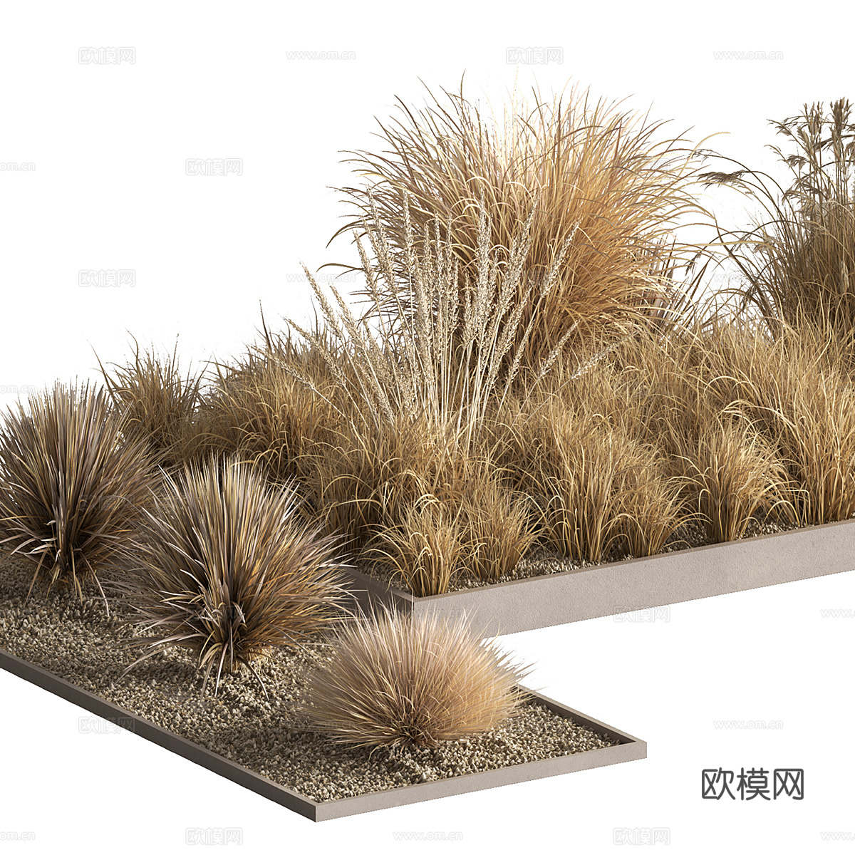 现代户外干式灌木草丛3d模型