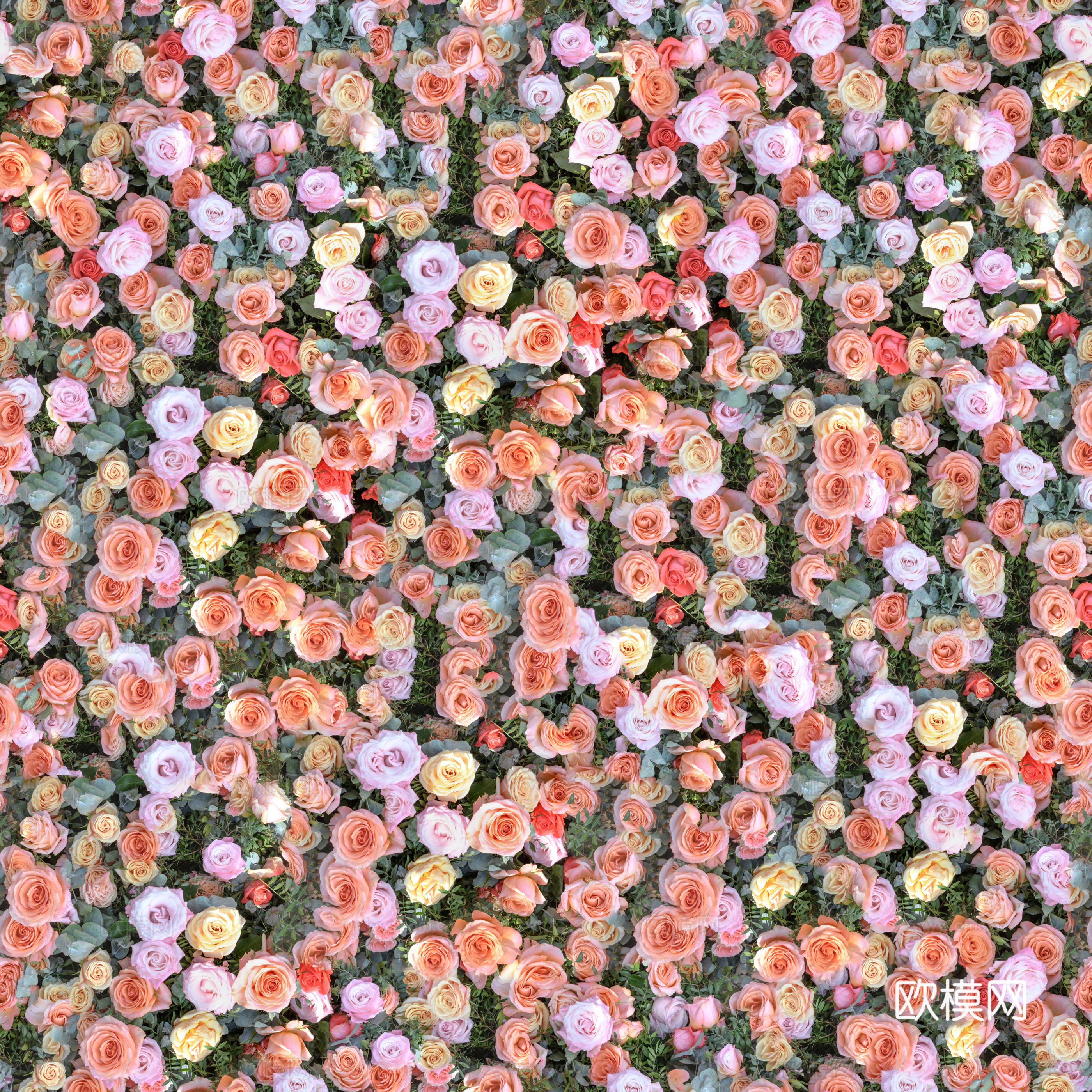无缝花卉植被贴图
