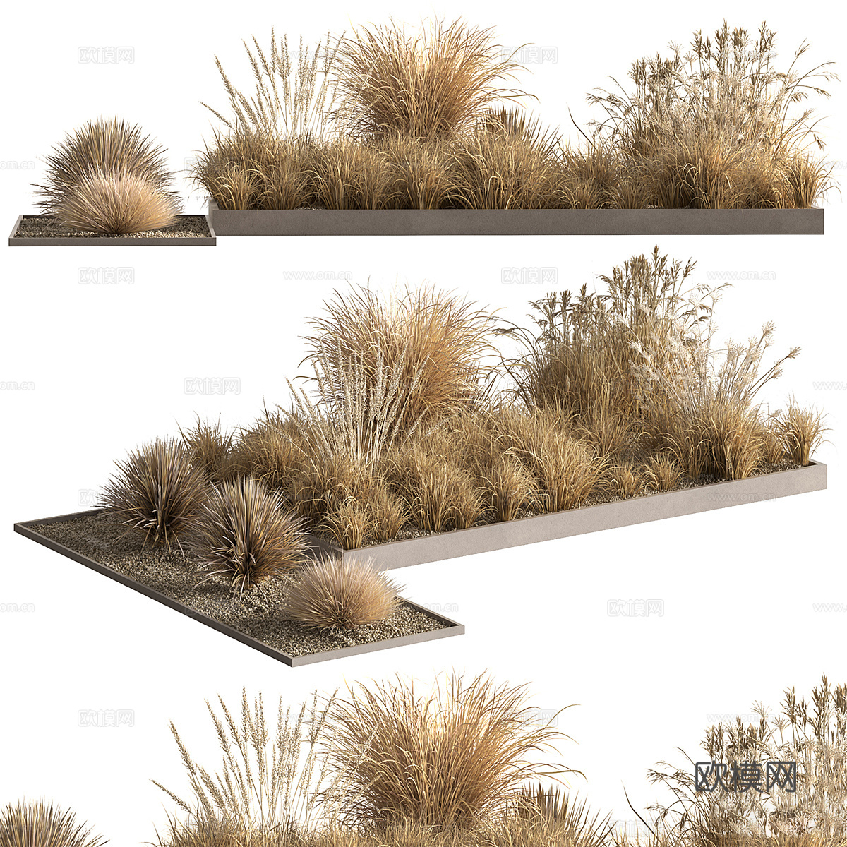 现代户外干式灌木草丛3d模型
