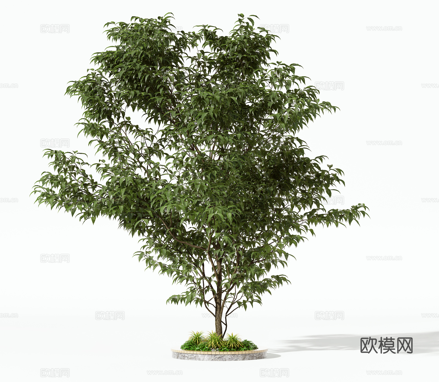 现代树木乔木灌木3d模型