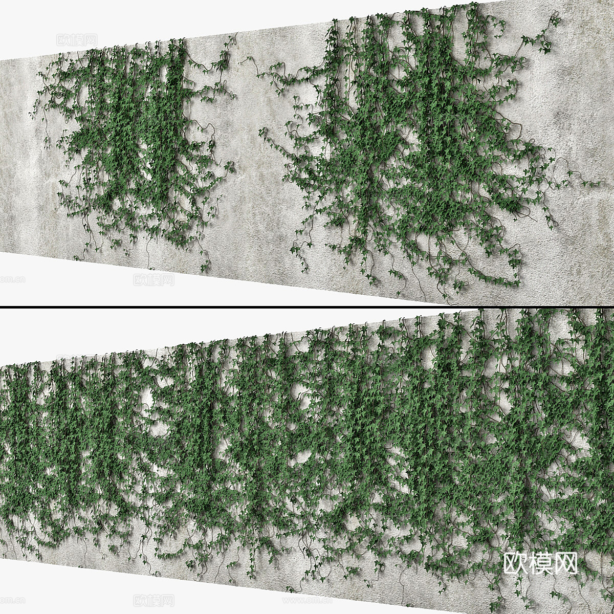 现代常春藤植物墙3d模型