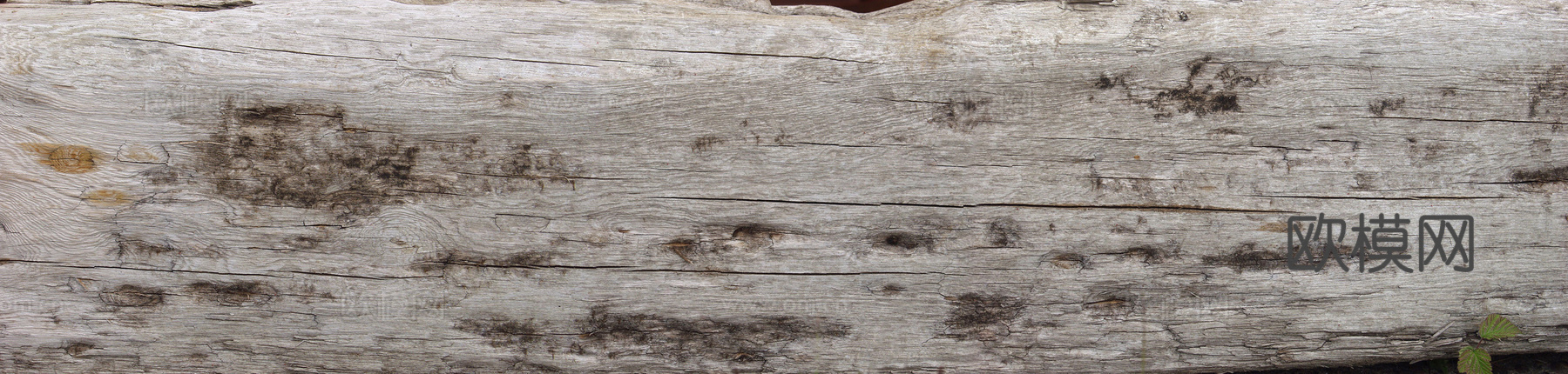 残旧木 旧木头  残旧木纹下载
