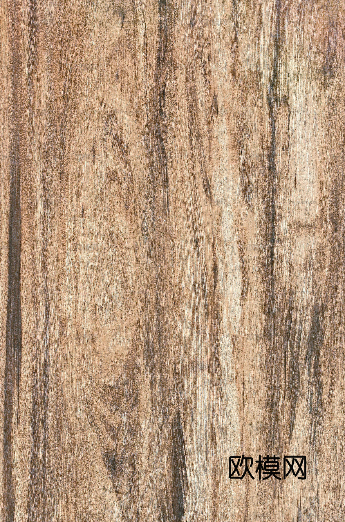 残旧木纹 旧木头 残旧木下载