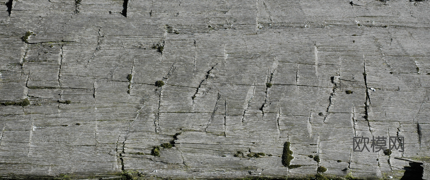 残旧木 旧木头  残旧木纹下载