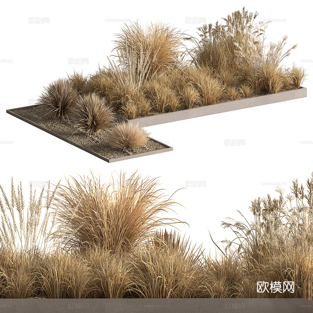 现代户外干式灌木草丛3d模型