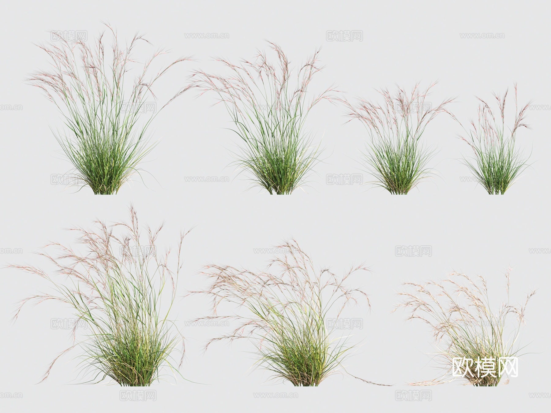 花草灌木3d模型