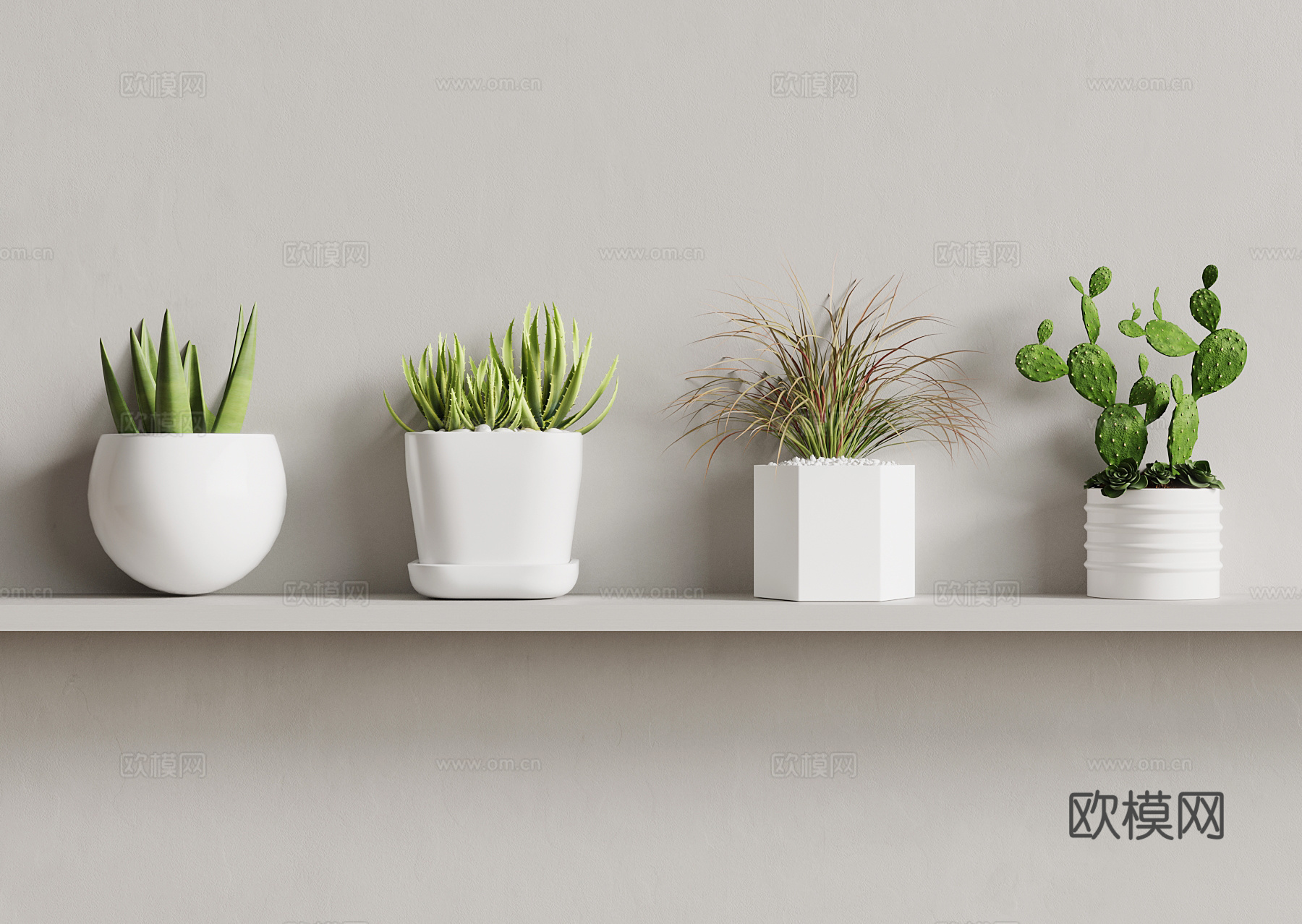 盆栽 现代绿植盆栽3d模型