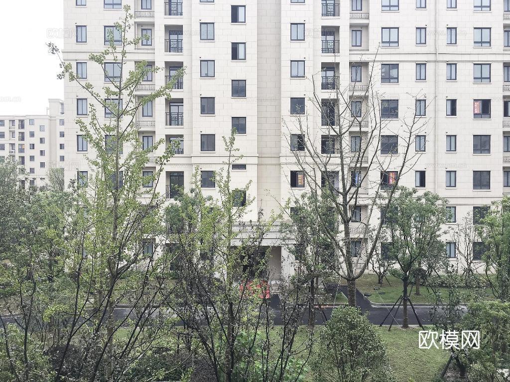 城市建筑