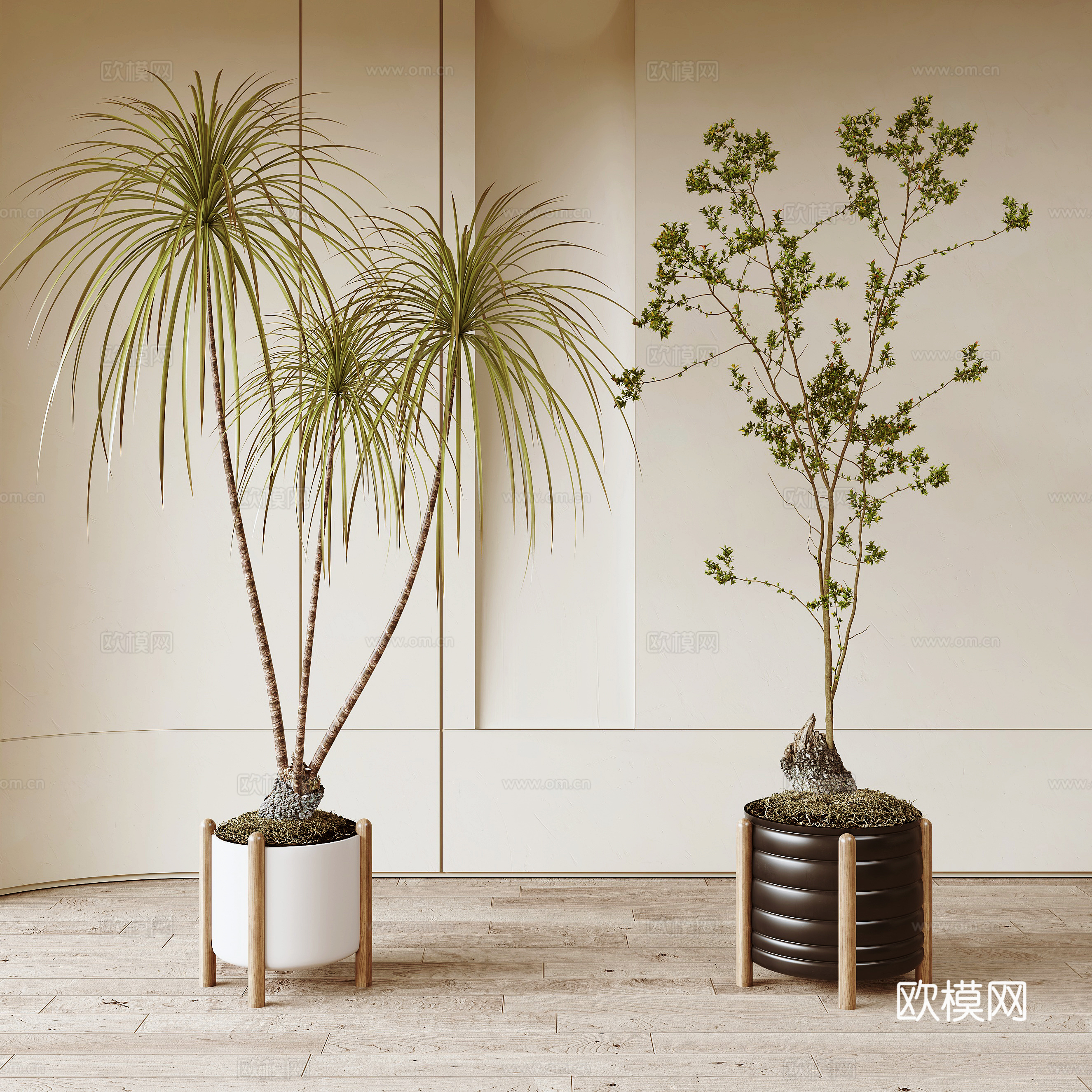 侘寂风绿植盆栽3d模型