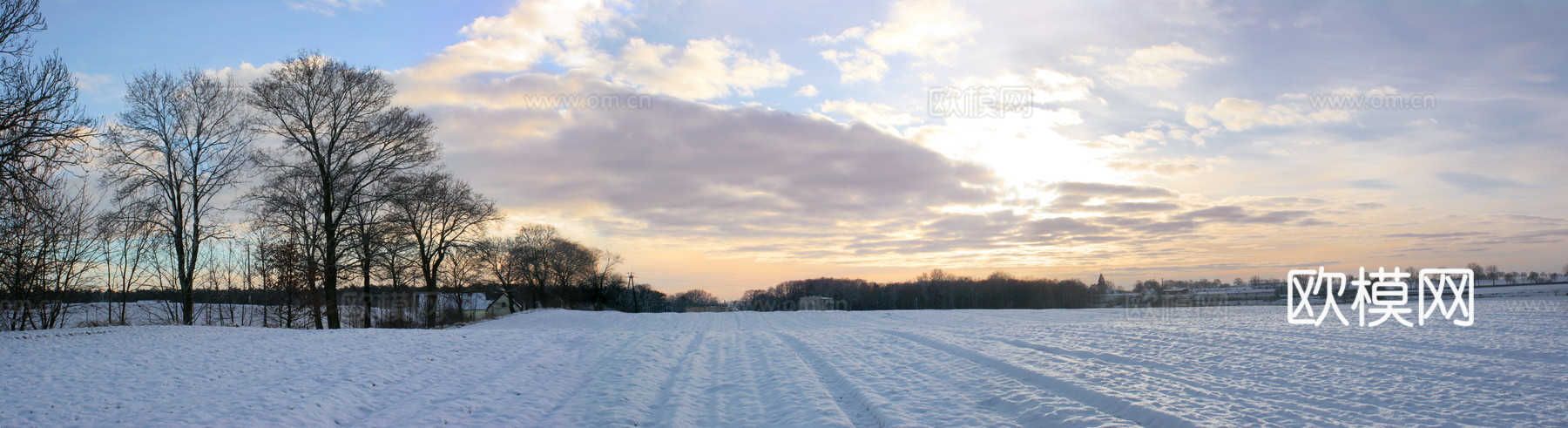 雪景