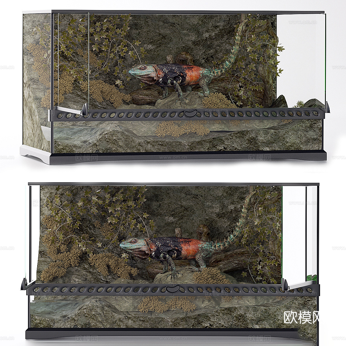 鬣蜥 蜥蜴3d模型