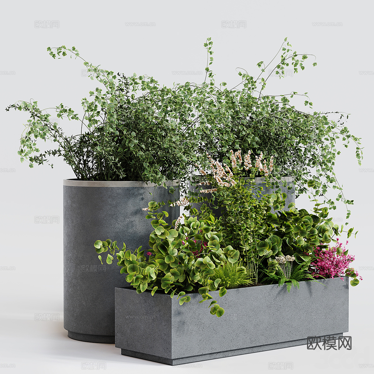 现代绿植盆栽 盆景3d模型