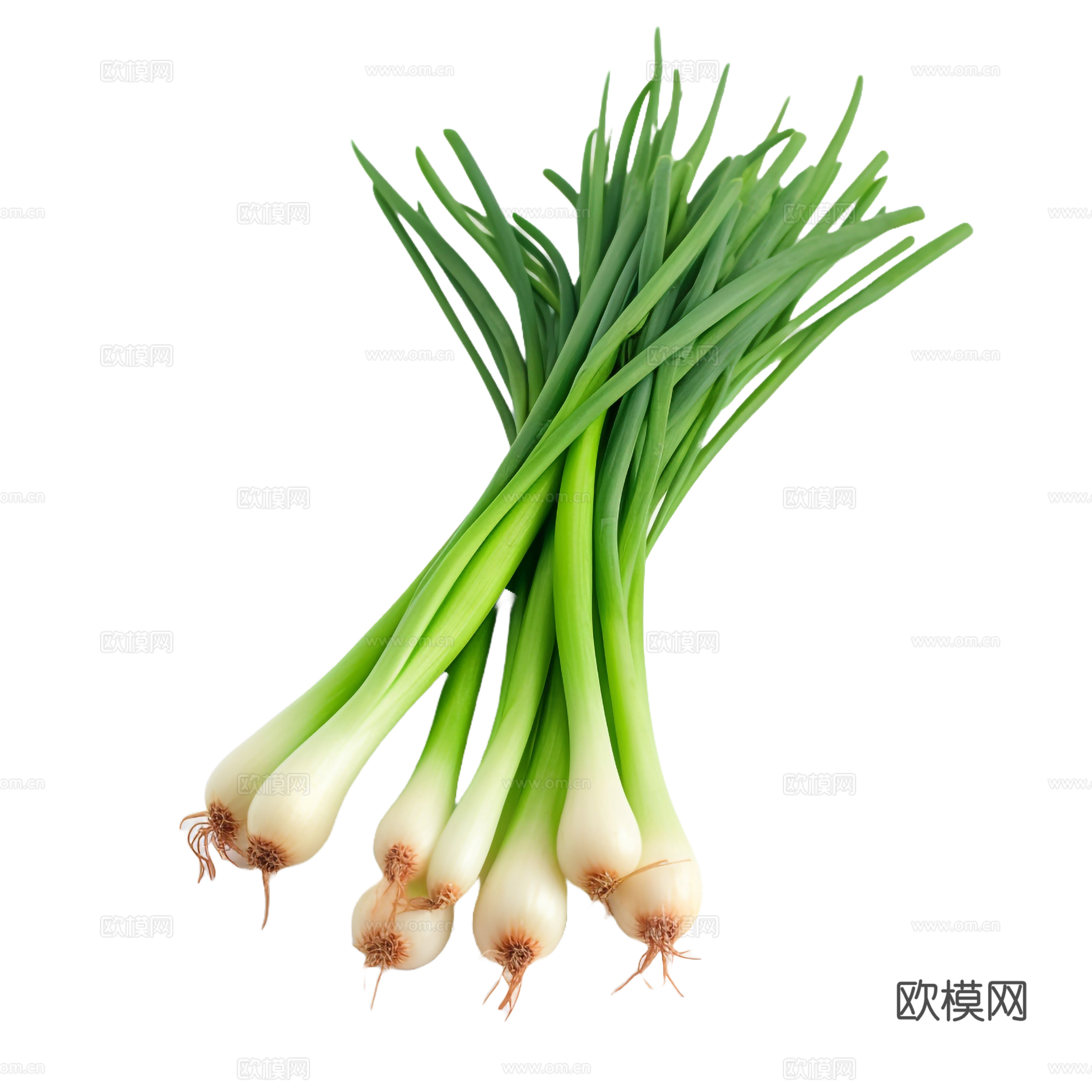 免抠蔬菜 葱