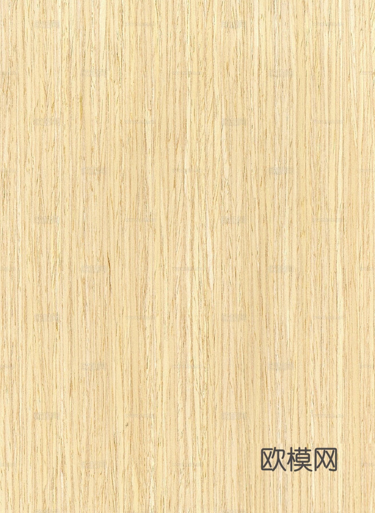 白橡木