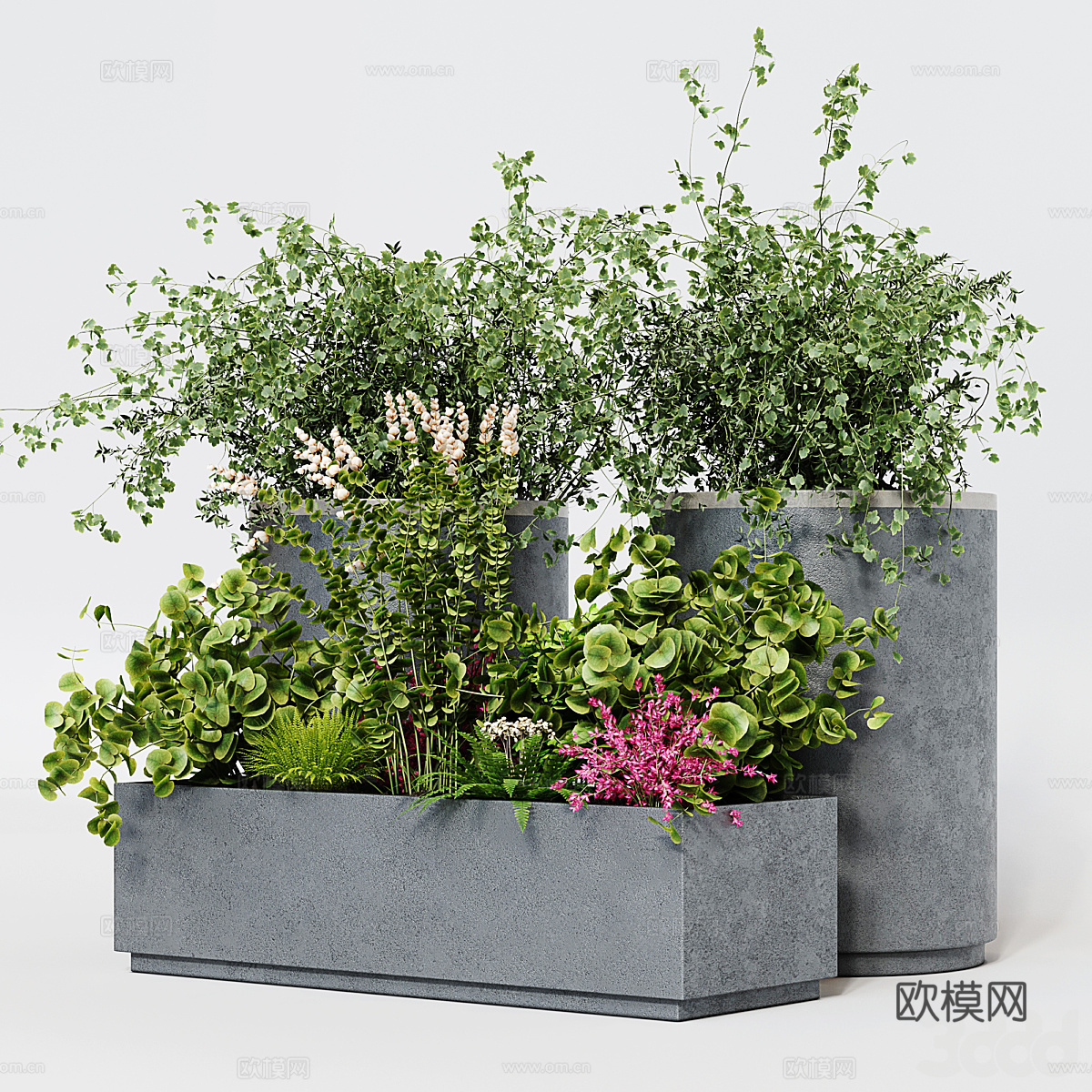 现代绿植盆栽 盆景3d模型