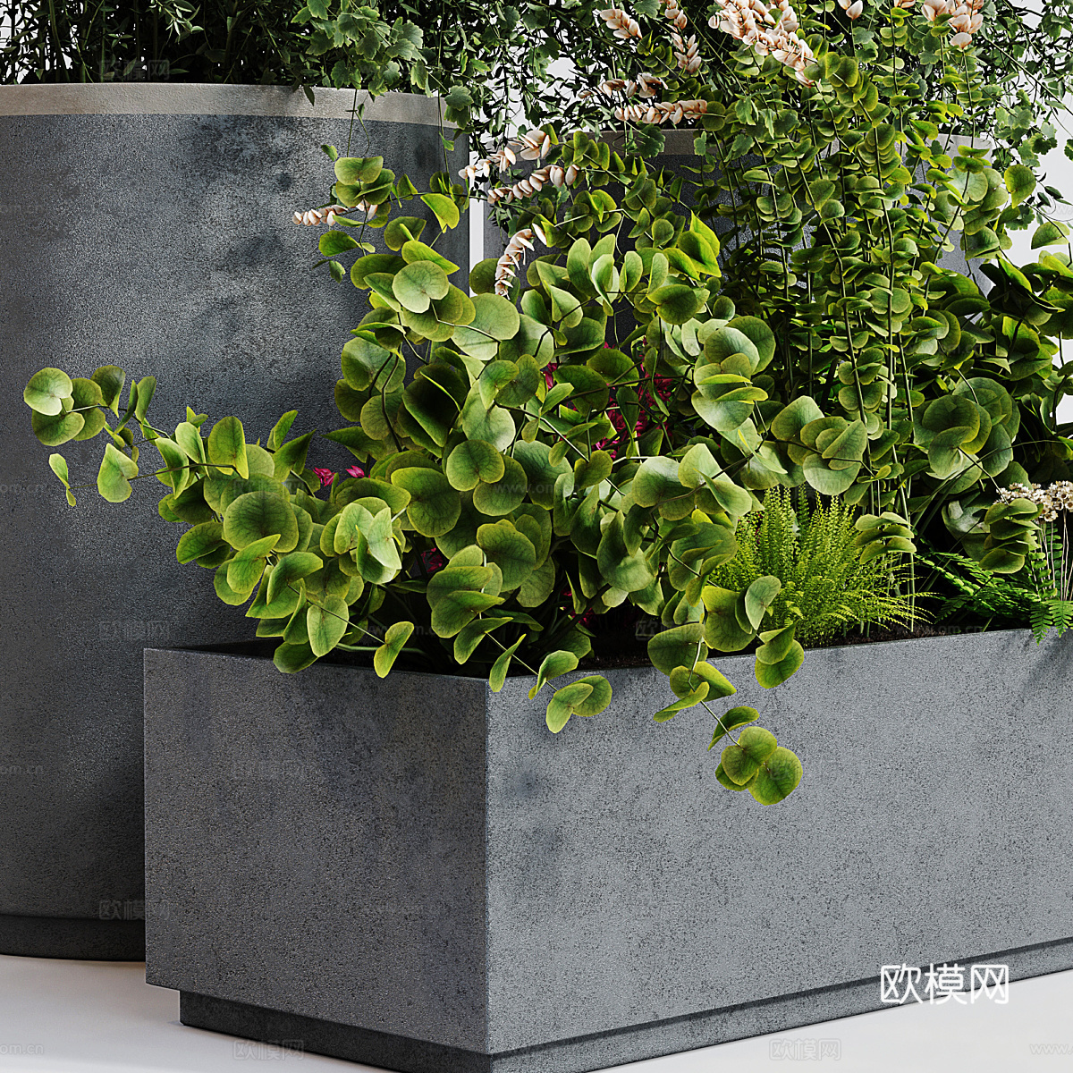 现代绿植盆栽 盆景3d模型