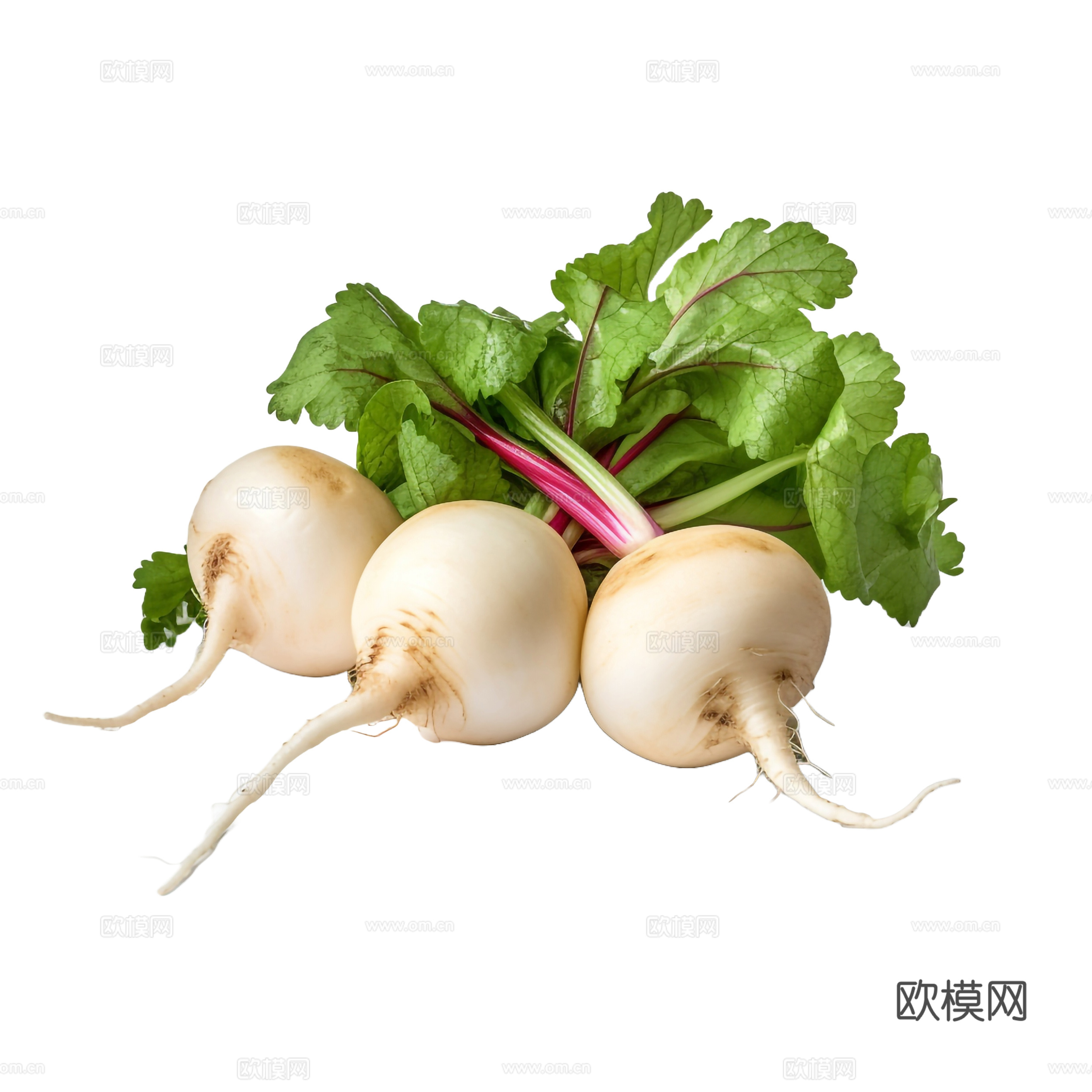 免抠蔬菜 萝卜