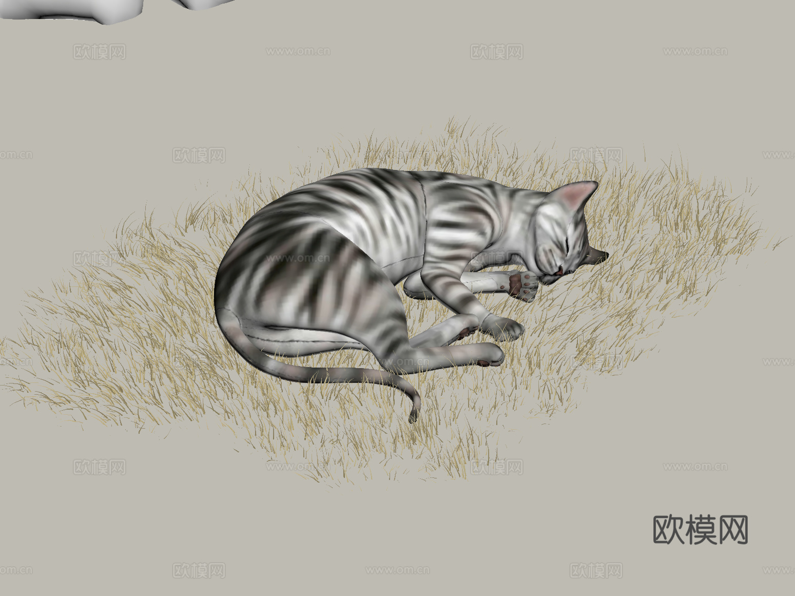 猫 现代动物猫 地毯su模型