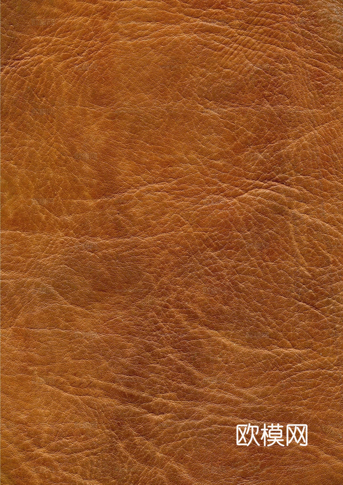 皮革下载