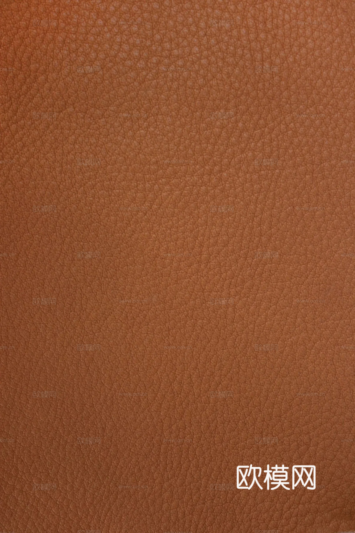皮革下载