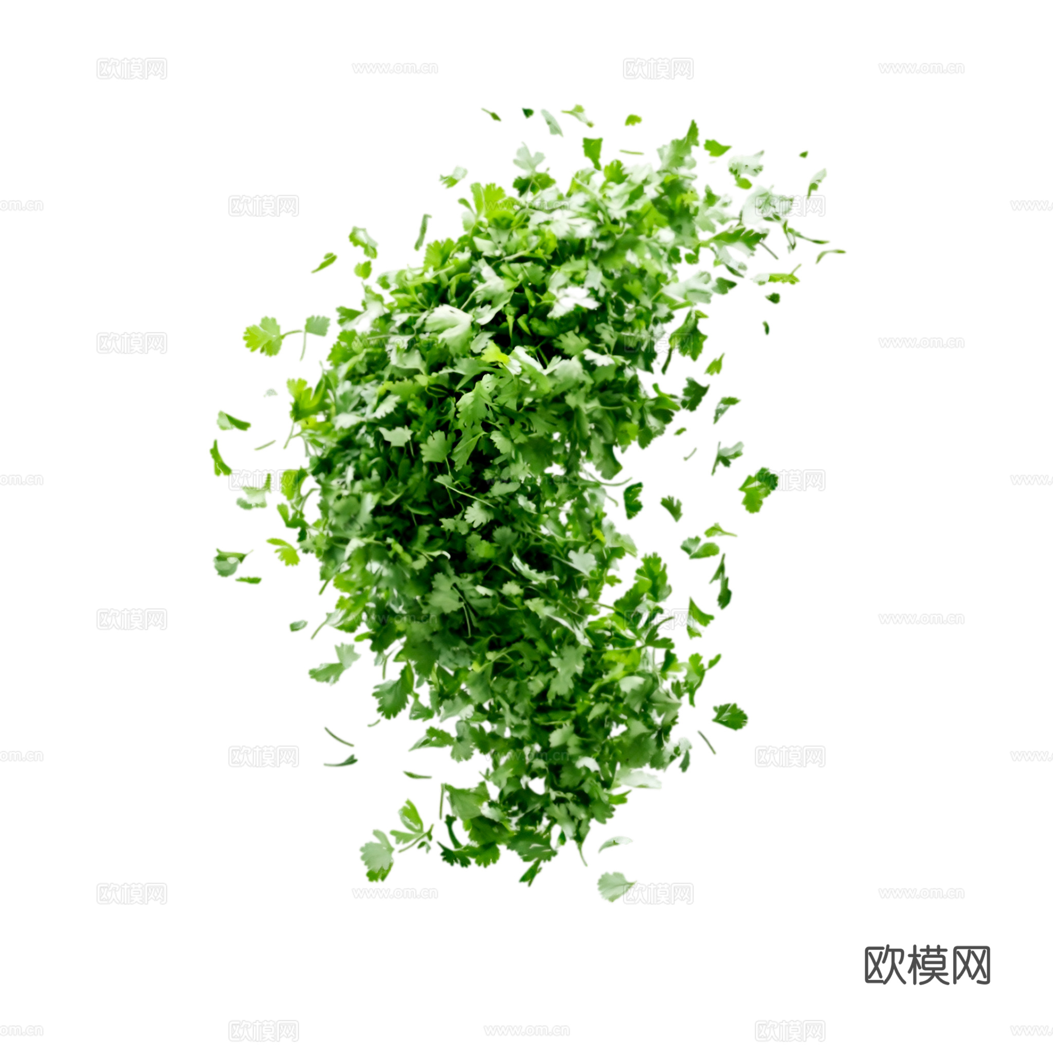 免抠香菜
