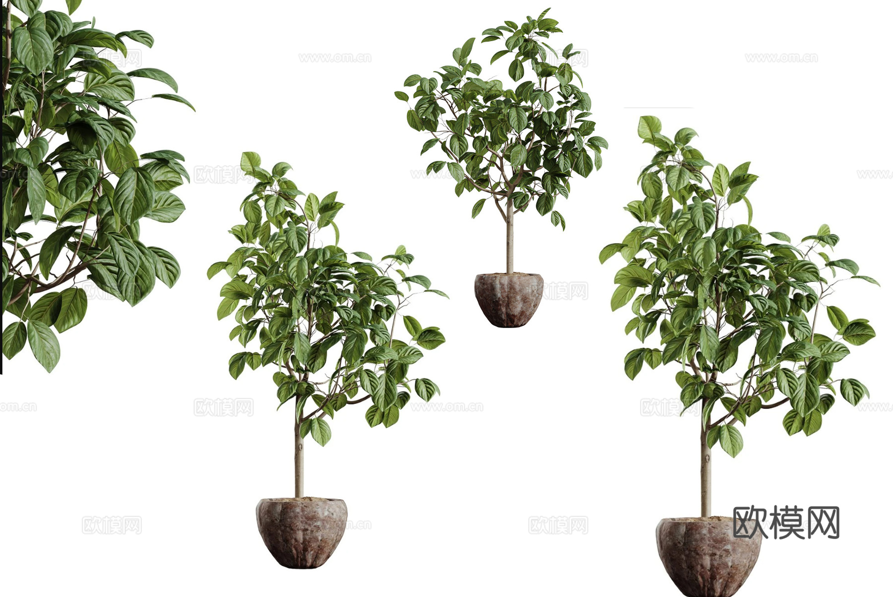 现代简约植物盆栽 植物盆栽 简约植物盆栽3d模型