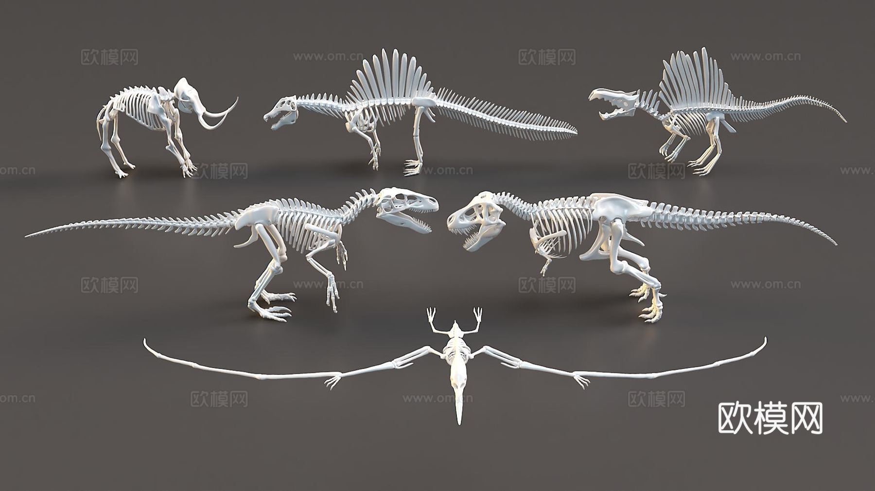 恐龙骨骼免费3d模型