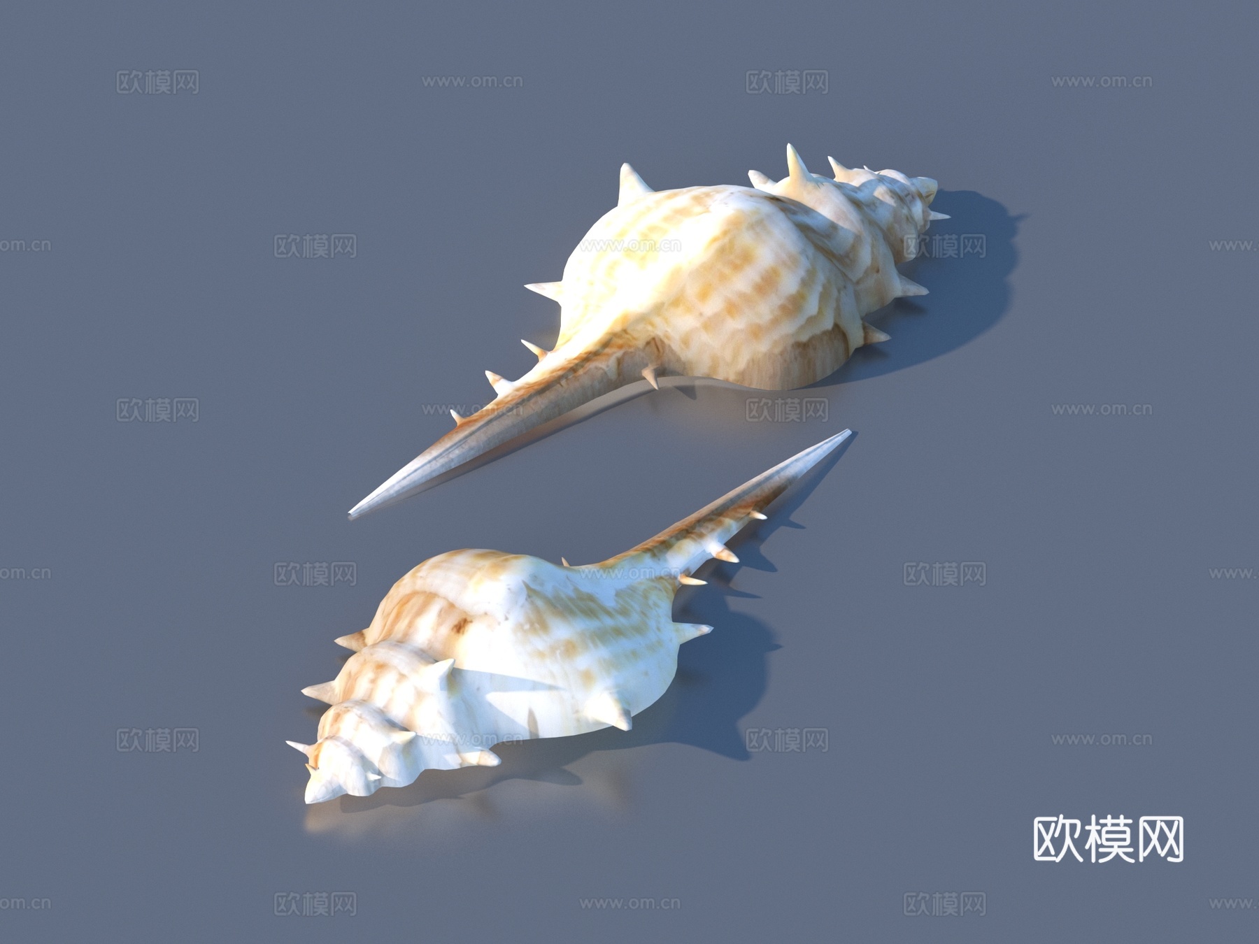 海螺 贝壳 海蜗牛 牡蛎 扇贝3d模型