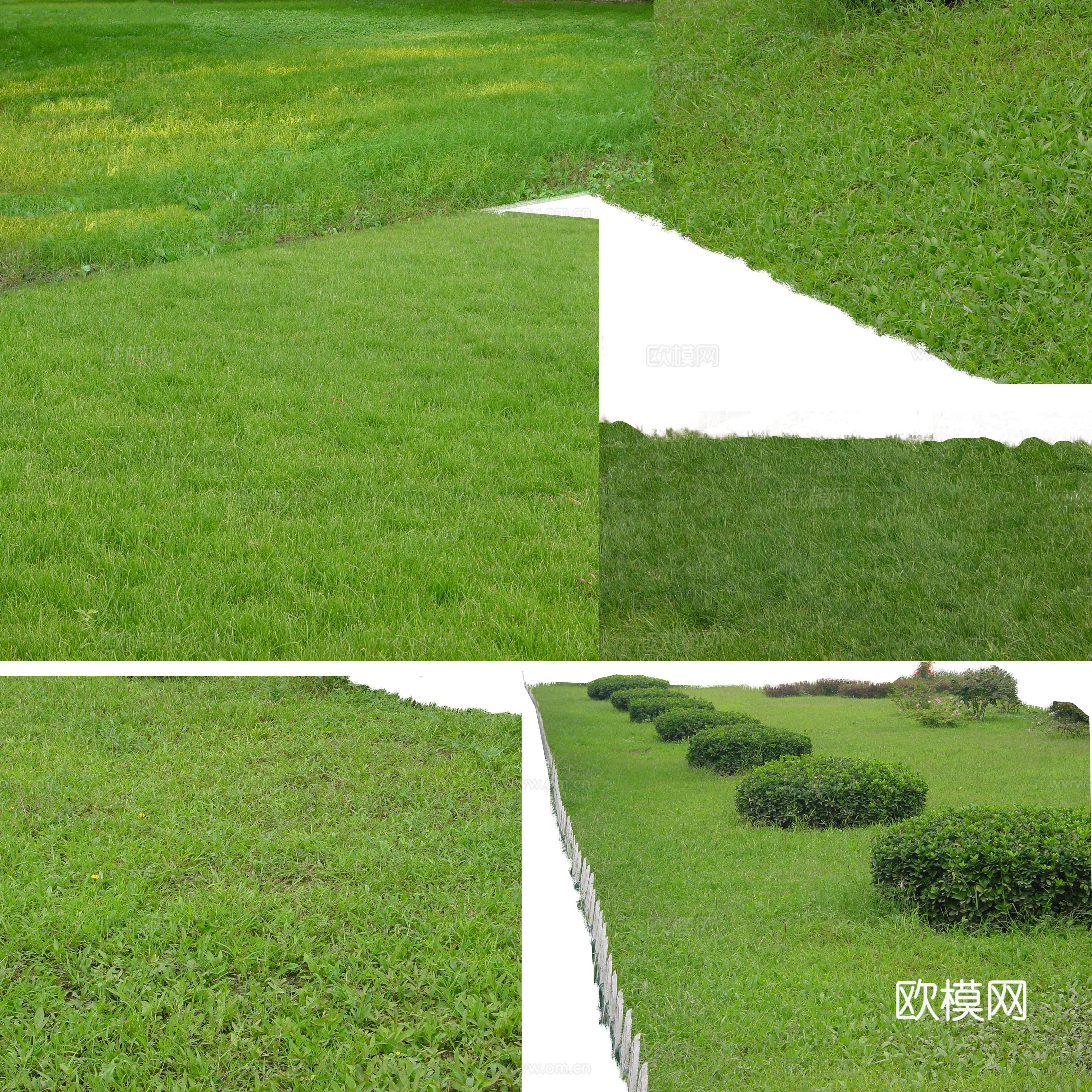 草地草坪 免抠贴图psd