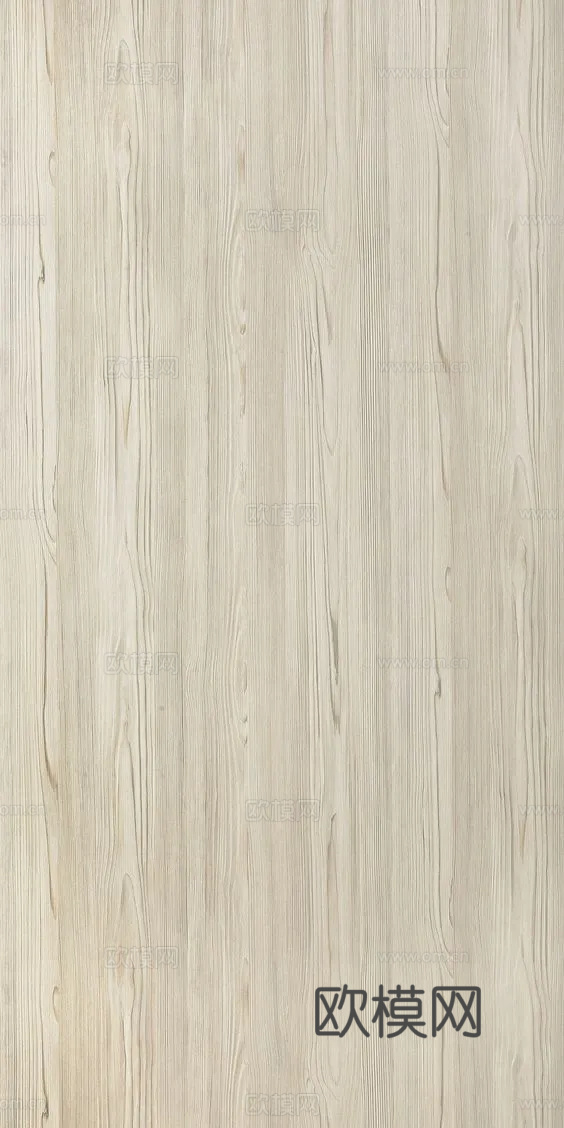 白橡木