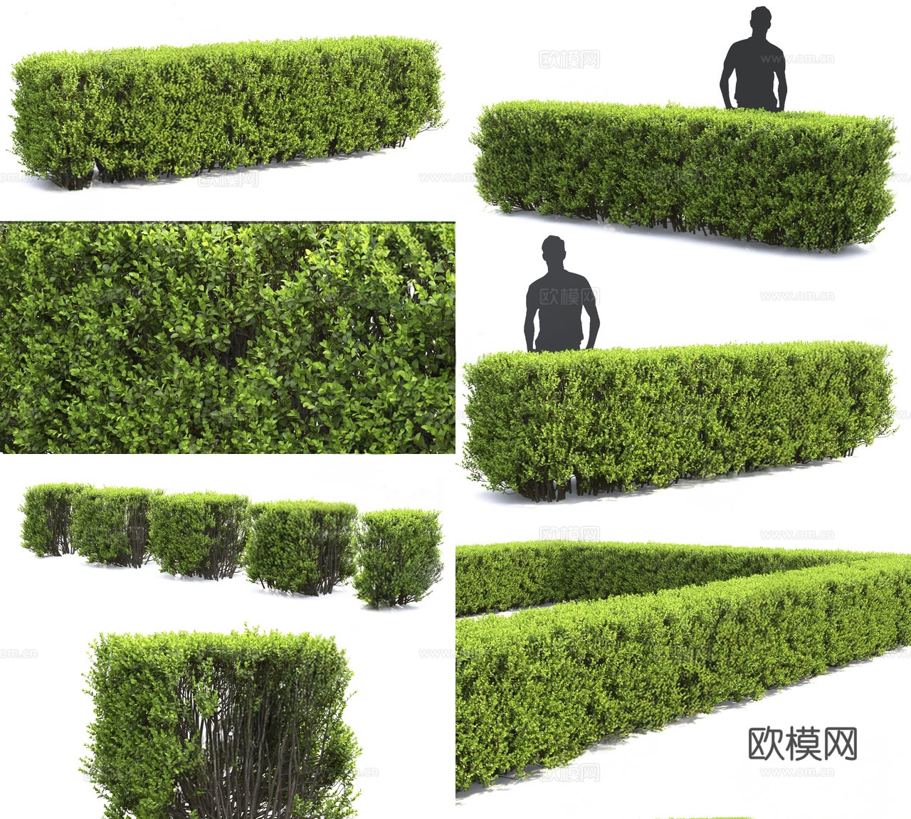 灌木su模型