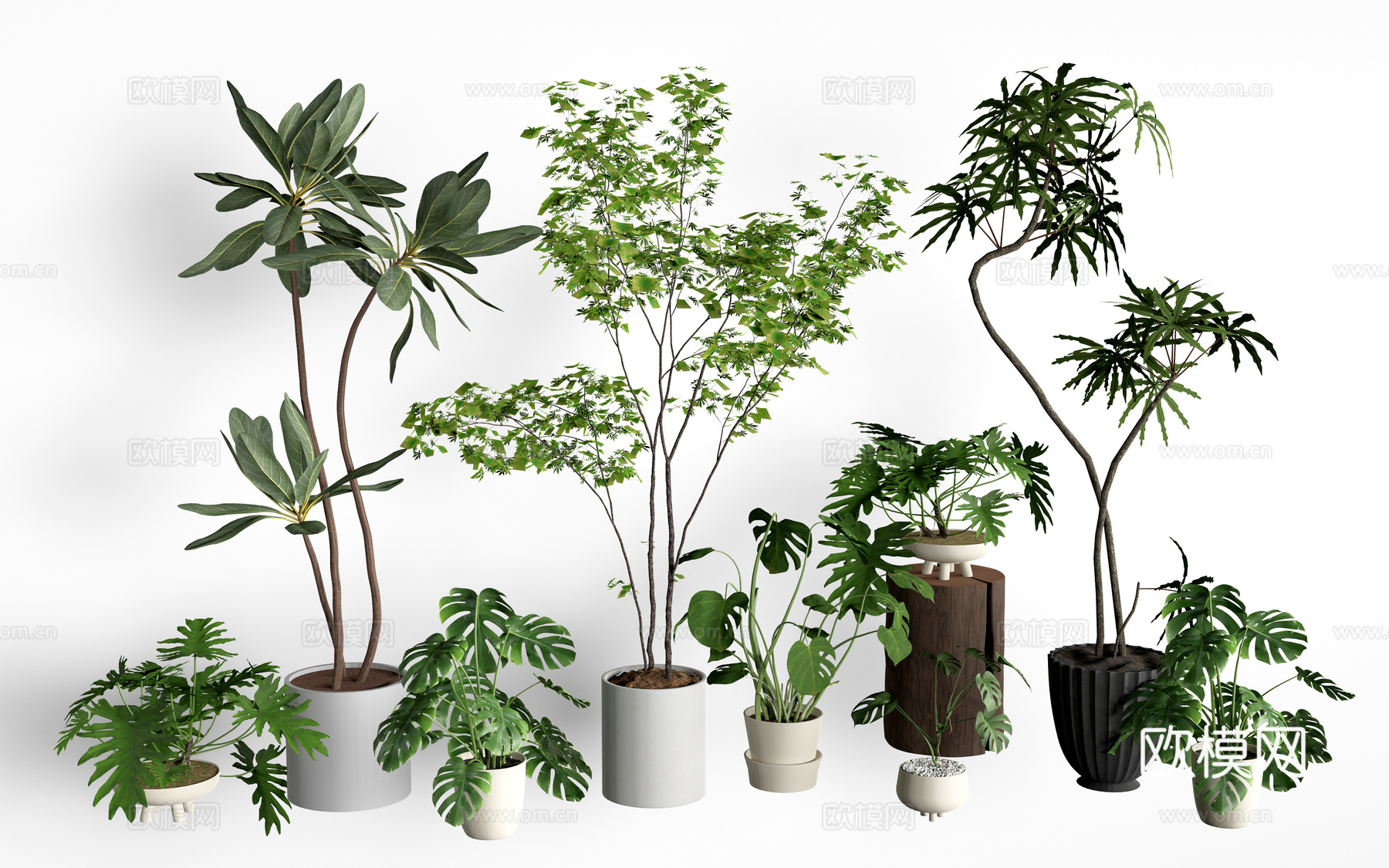现代花盆 盆栽植物 花卉摆件 绿植su模型
