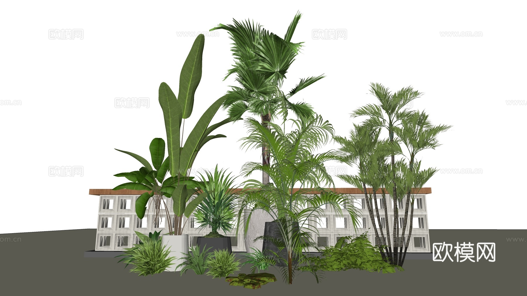 现代景观植物 植物堆 庭院植物 绿植小品su模型