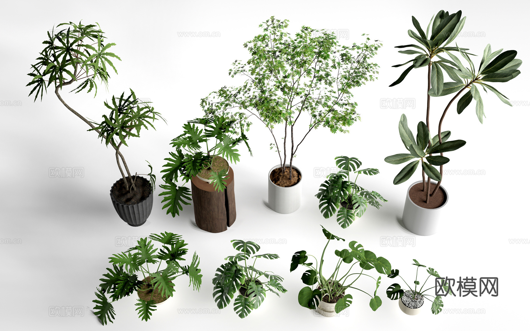 现代花盆 盆栽植物 花卉摆件 绿植su模型