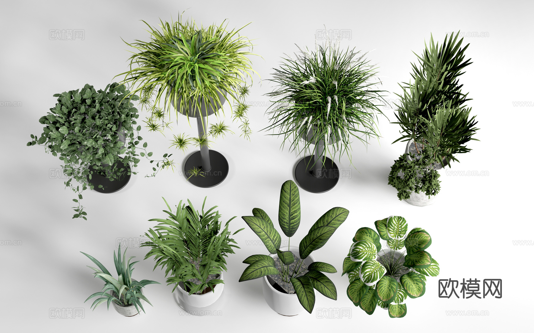 现代花盆 盆栽植物 花卉摆件 绿植su模型
