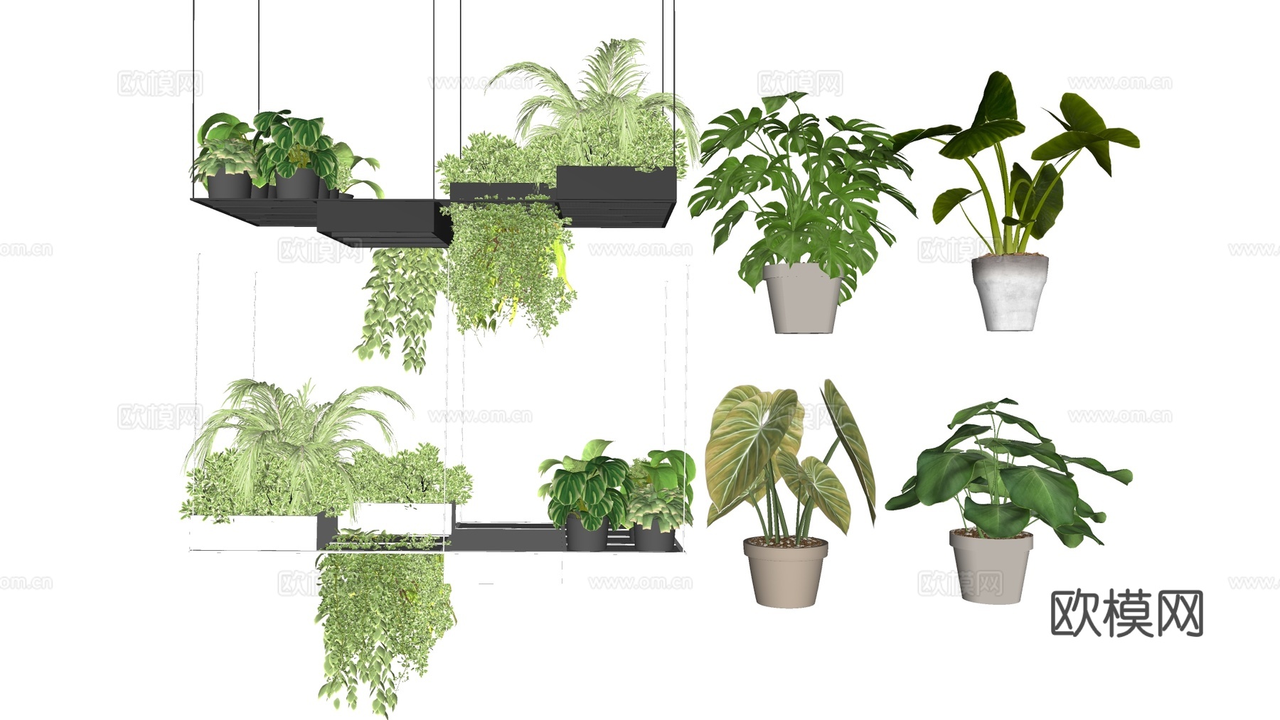 现代花盆 盆栽植物 花卉摆件 绿植su模型