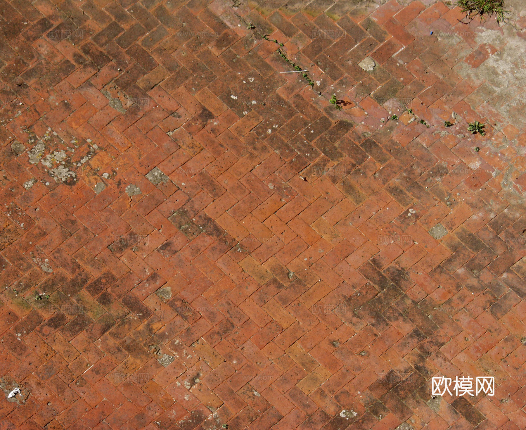 砖块路面  石材拼花 古典墙砖地砖