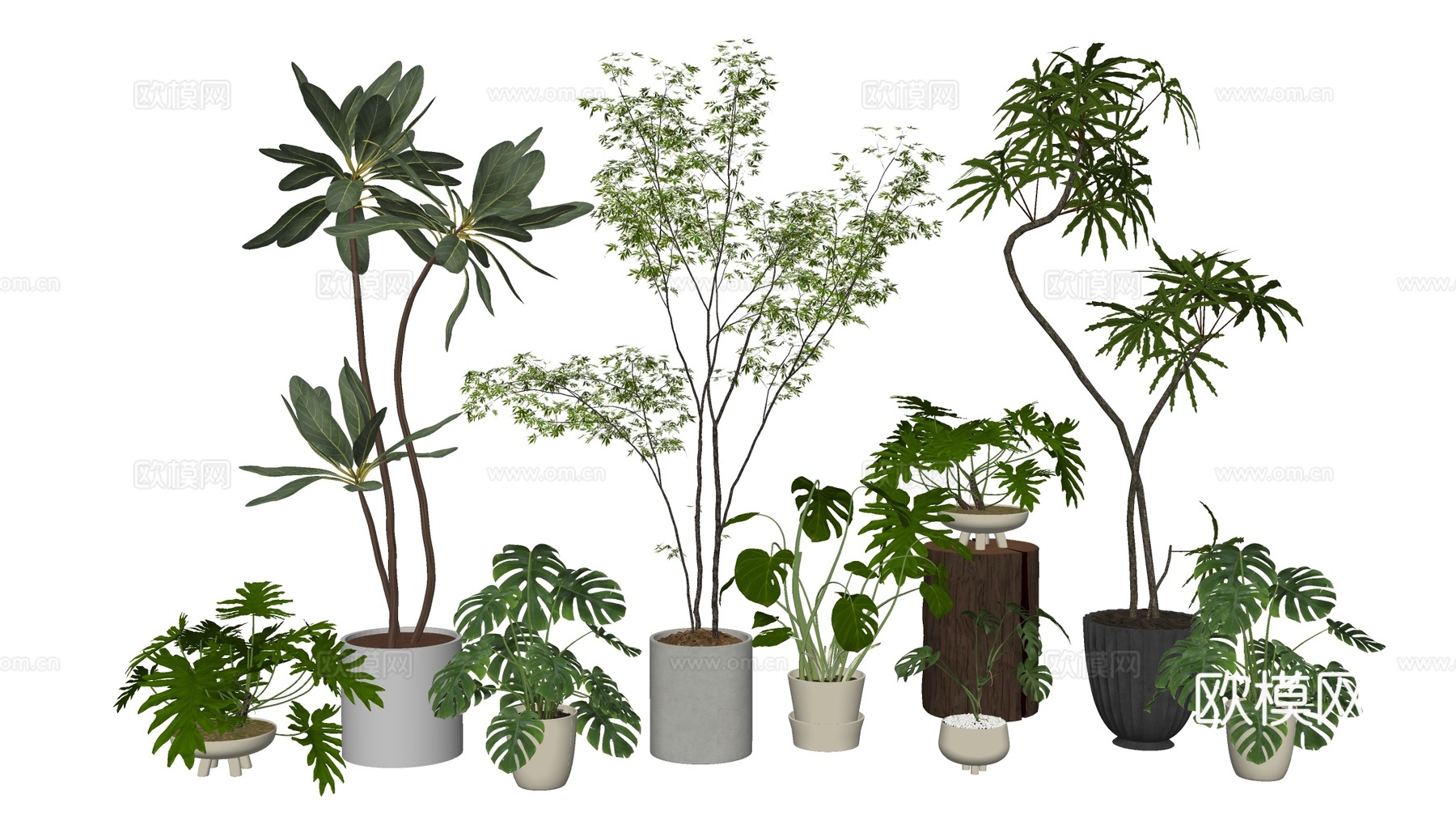 现代花盆 盆栽植物 花卉摆件 绿植su模型