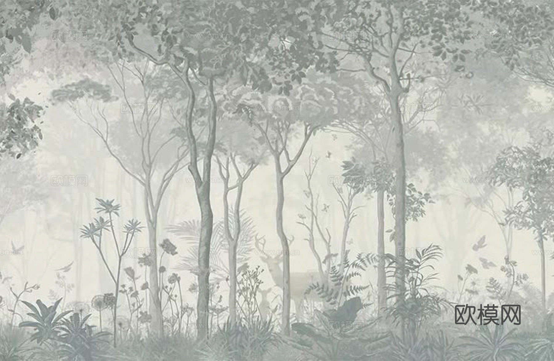植物壁纸