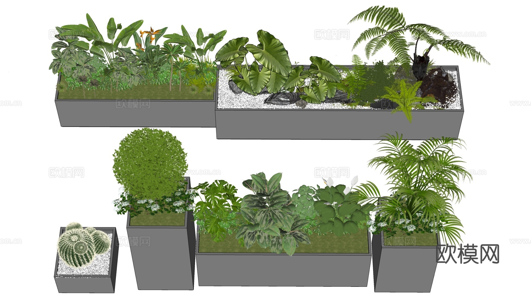 现代花箱 植物花箱 外摆花箱 外摆植物su模型