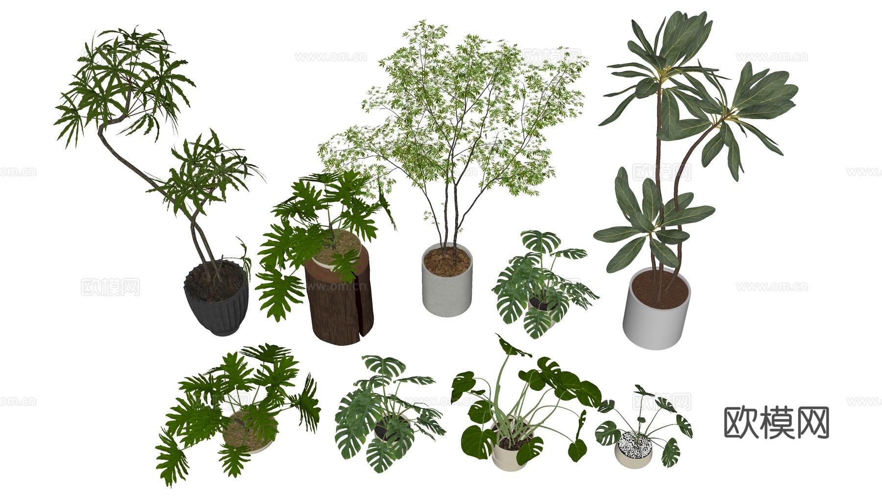 现代花盆 盆栽植物 花卉摆件 绿植su模型