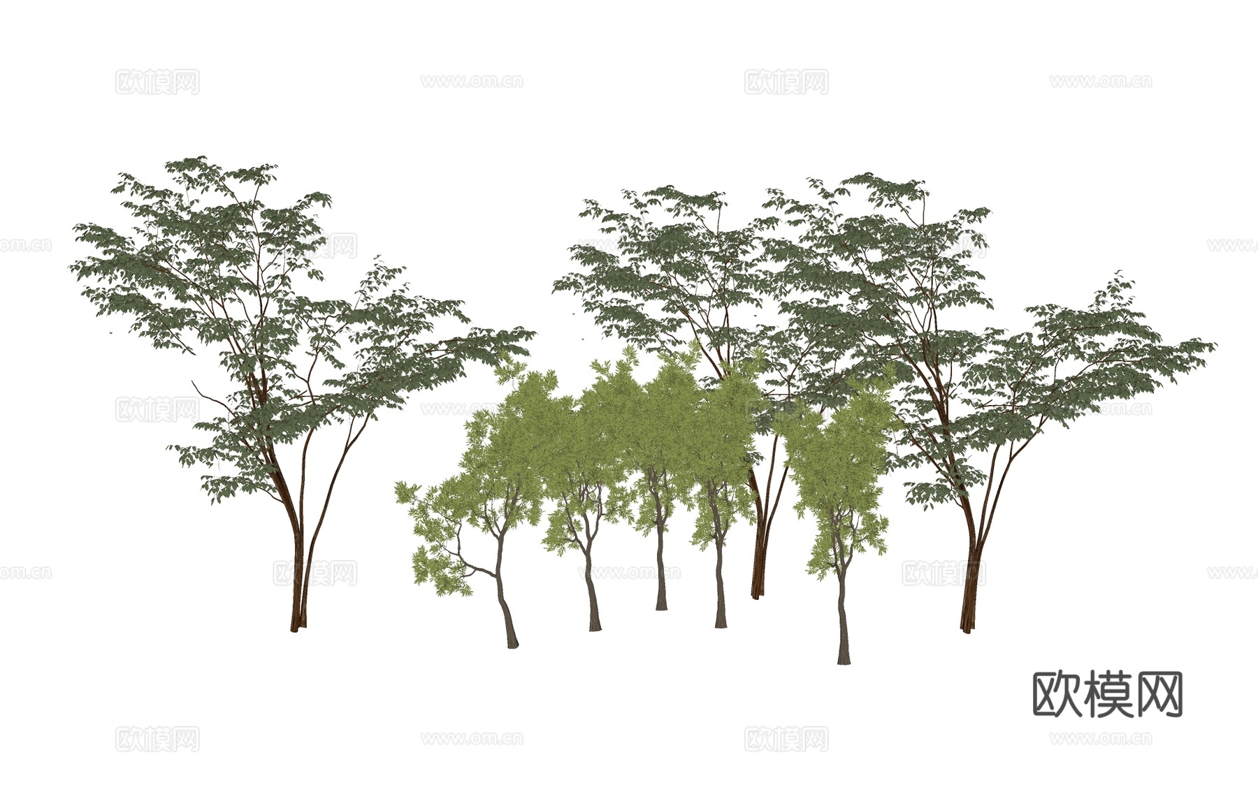 植物组合树木绿植   树池植物组合su模型