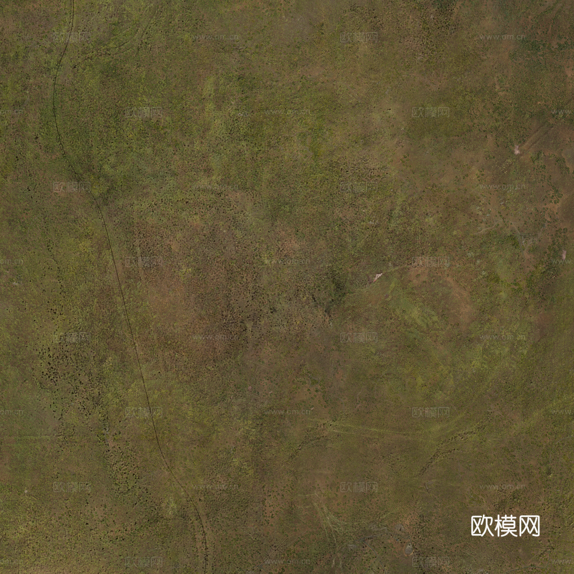 草皮 泥地