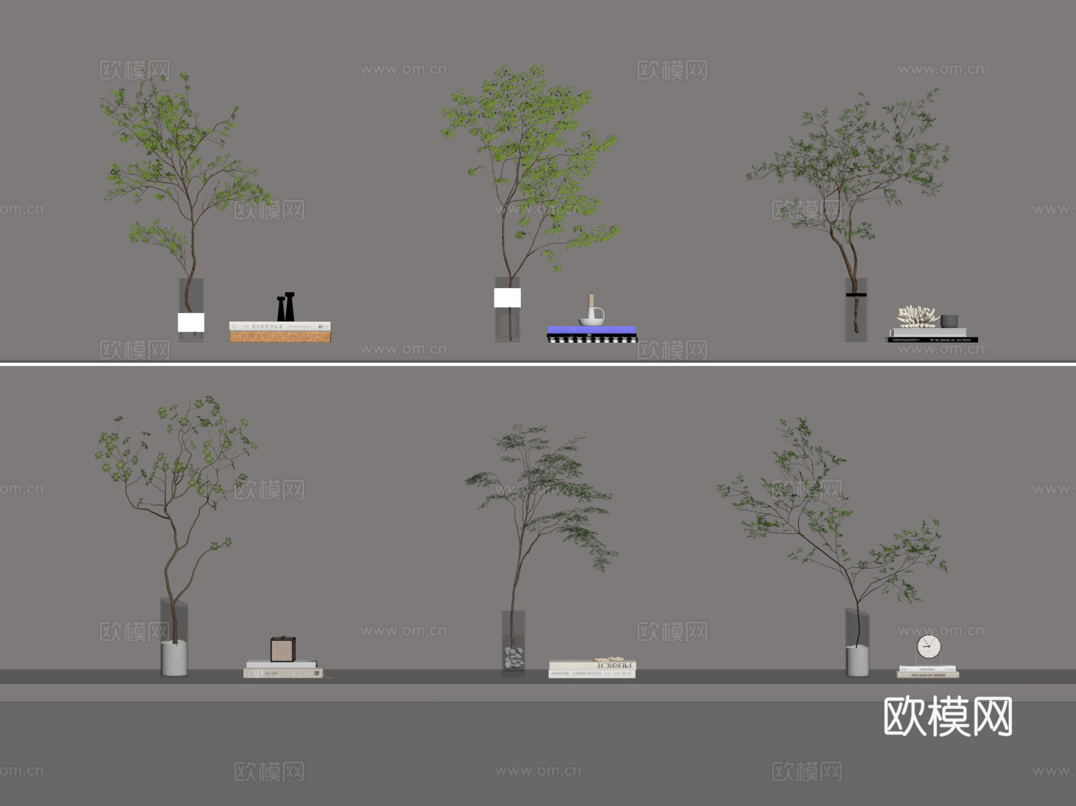 现代水生植物 水生植物组合su模型
